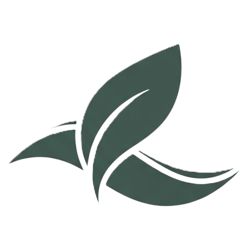 Wellness On Your Terms